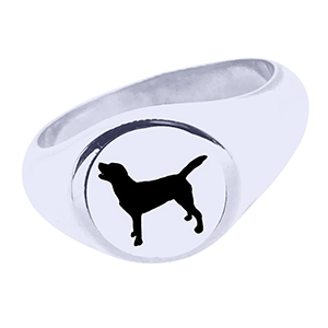 ashes memorial jewellery ring for dog cremation