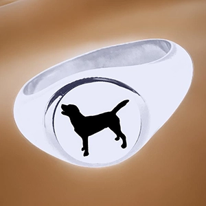 ashes ring, cremation, pet loss, memorial jewellery, australia