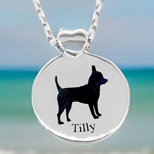 ashes pendant cremation, pet loss, memorial jewellery